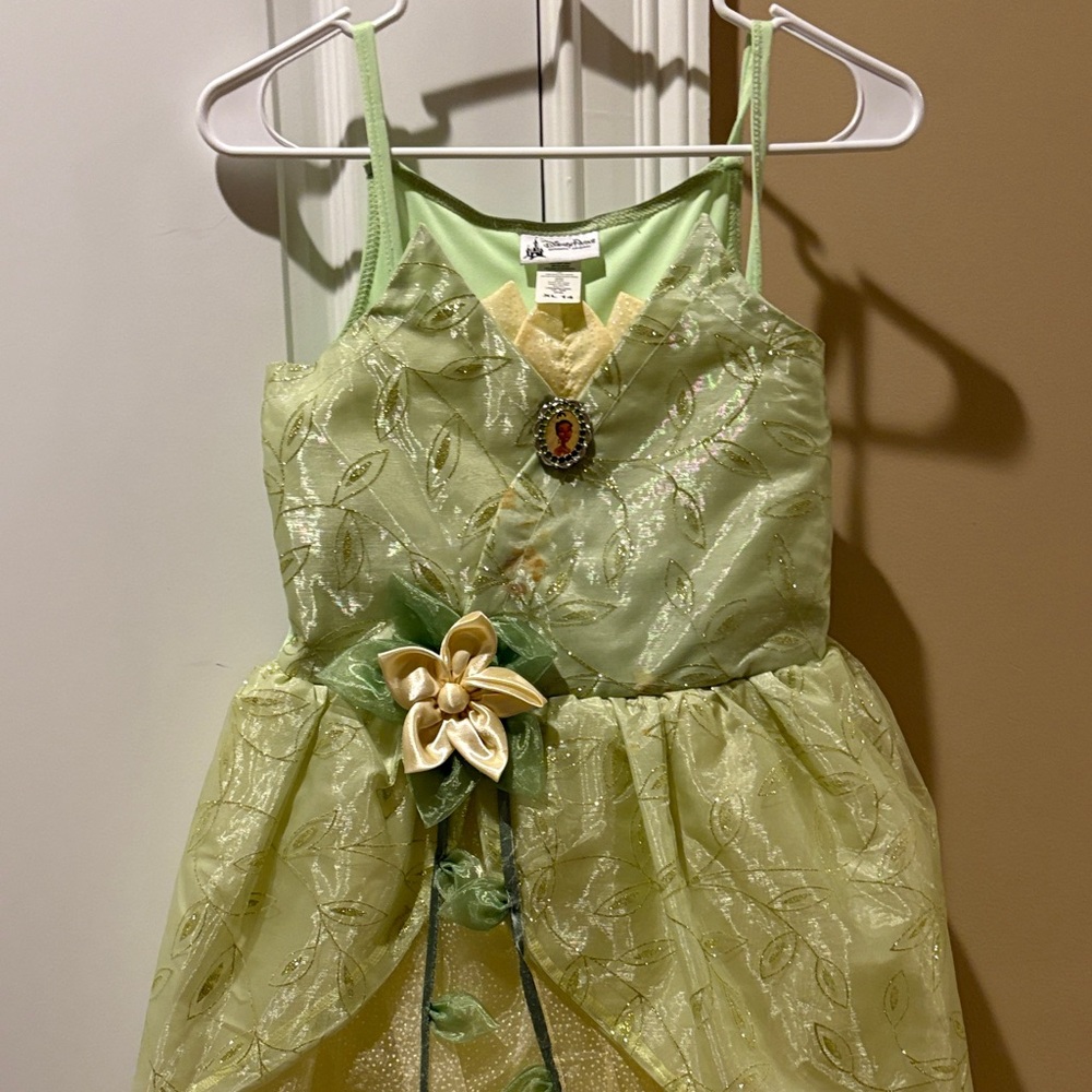 Disney Enchanted Green and Gold Fairy Costume